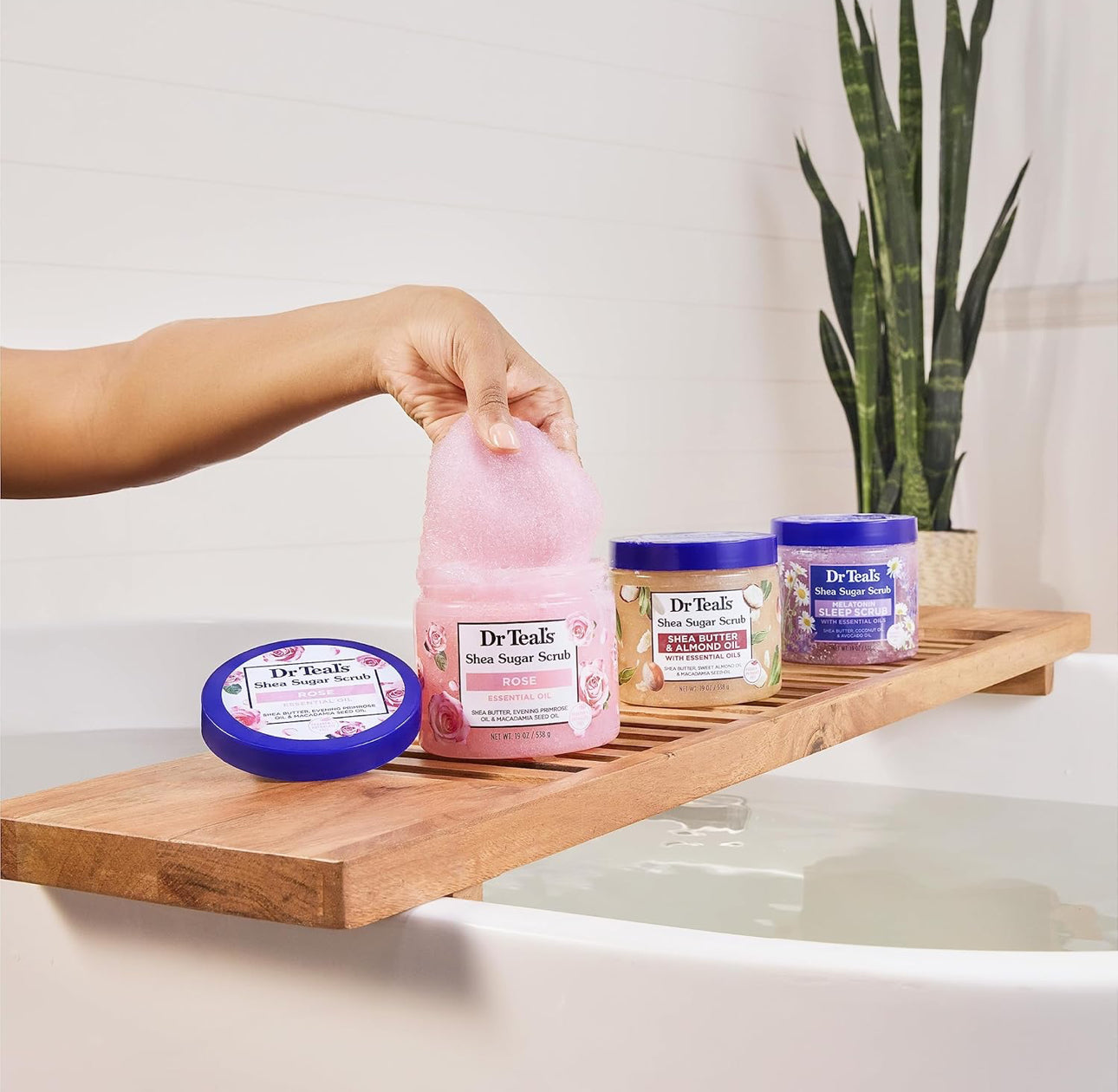 Dr Teal's Shea Sugar Body Scrub- Rose